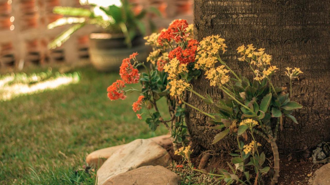 Chalés Terraviva Pirenópolis Kültér fotó